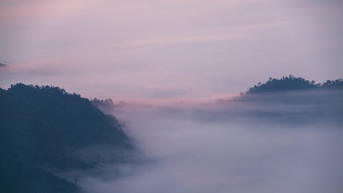 Le brouillard se déplace dans la forêt sur la montagne