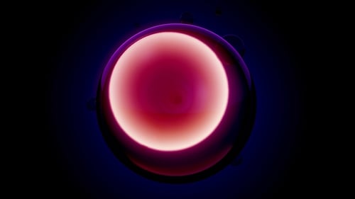 Girar divisão celular