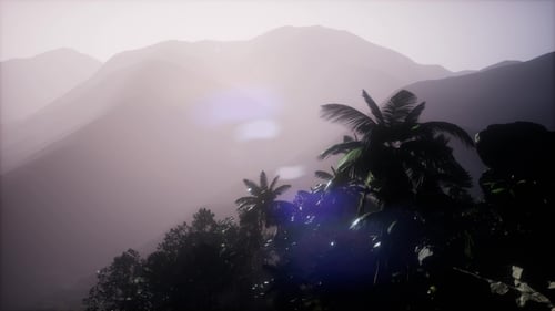 Misty Tropical Mountains and Palm Trees with Sun Flare