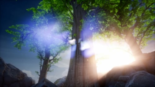 Sun Beams Through Trees