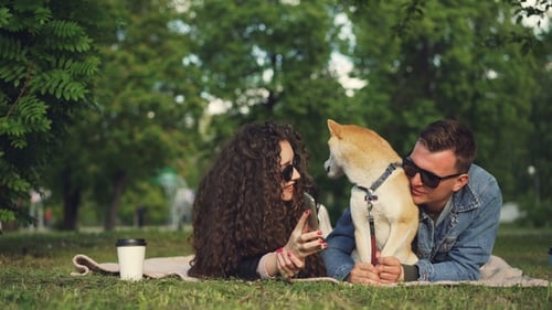 Young Woman Is Showing Funny Pictures on Smartphone To Her Boyfriend While Relaxing in Park with Pet
