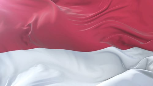 Realistic Red and White Waving Flag Loop