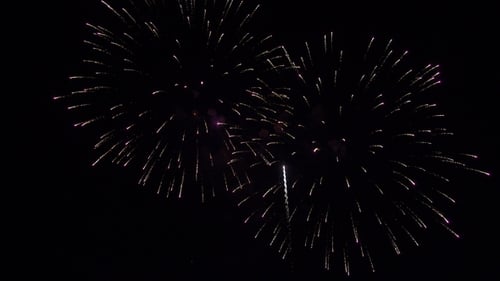 Beautiful Festive Multicolored Fireworks In the Night Sky