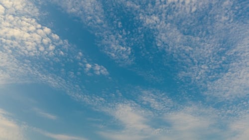 Professionnel du beau ciel, pas d'oiseaux, pas de scintillement