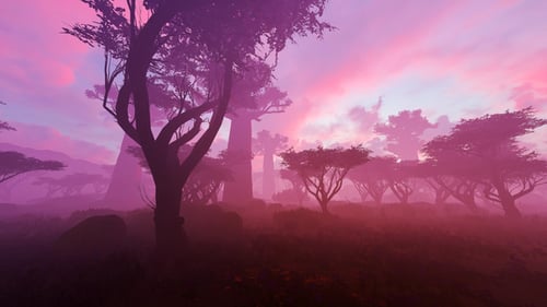 Panorama Of Traffic In The Forest