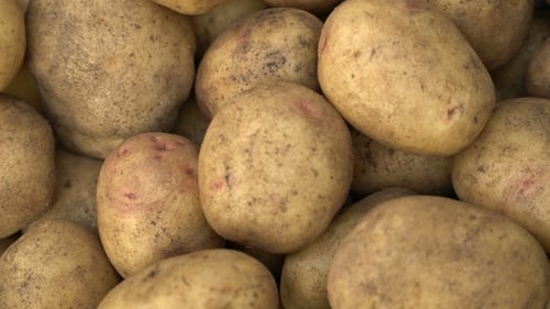 Pile of fresh potatoes macro close up