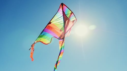 A Kite with a Long Tail Hovers in the Sky