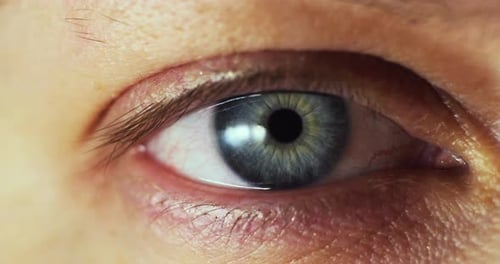 Macro Shot of a Young Female Blue Eye