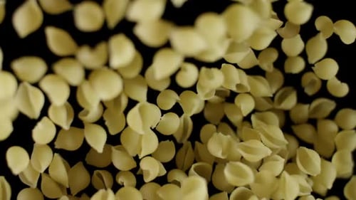 Falling Pasta Shells on a Black Background