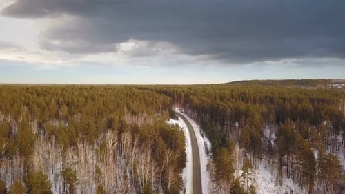 Route forestière
