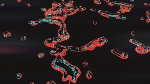 Abstract Liquid Flowing Organic Shapes Motion Background