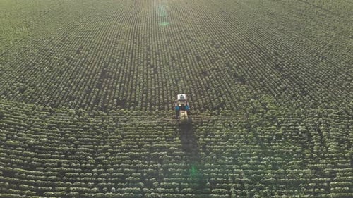Aerial View on Agricultural Tractor Working in the Field at Sunset.
