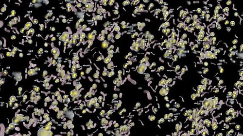 elementare Lebensformen. Beobachtung einer unbekannten Lebensform Hintergrundanimation