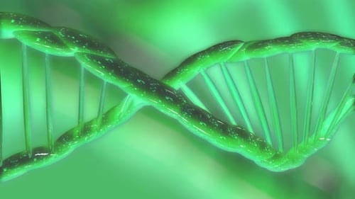 Close Up Green Dna