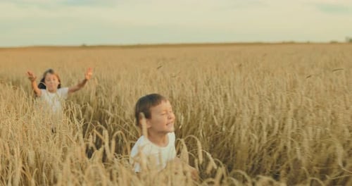 Cheerful and Happy Children Run on a Wheat Field