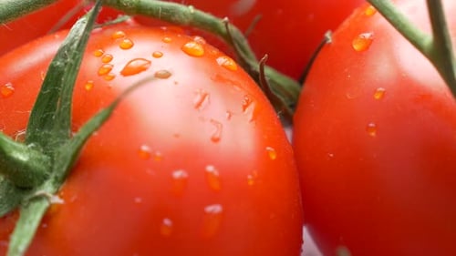 Lecker aussehende rote Bio-Tomaten-Lebensmittel-Hintergrund 4K 2160p 30fps Neigung UHD-Aufnahmen - Gemüse auf Vin