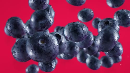 Juicy Blueberries Float in Front of a Red Background