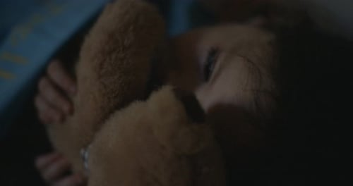 Child Sleeping Soundly Hugging Teddy Bear at Night