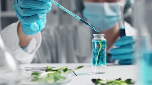 Jovem assistente de laboratório examina o reagente que goteja os brotos em um tubo de ensaio. Pesquisa raiz