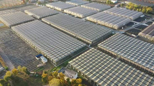 Aerial View of Massive Greenhouses in Rural Area