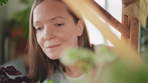 Lady Looks at Flower in Florist's Store