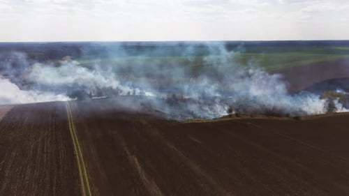 On the Field Burning Dry Grass. Footage. Burning of Straw on the Field. Fire, Burning Old Grass