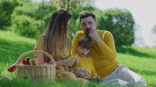 Family Picnic in the Park on a Sunny Day