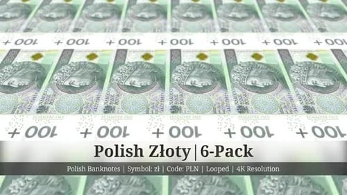 Polish Złoty | Poland Currency - 6 Pack | 4K Resolution | Looped