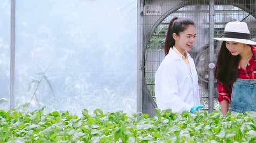 Young Women Examining Plants in Greenhouse