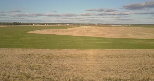 Aerial Motion Above Green Meadows and Wheat Fields