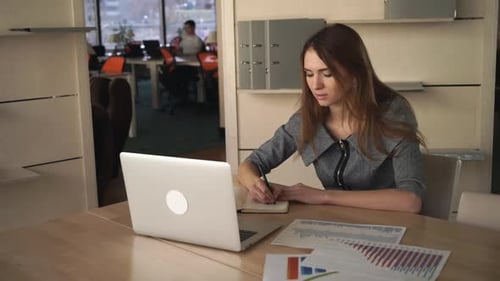 Business Woman At Personal Office Cheking Charts And Report