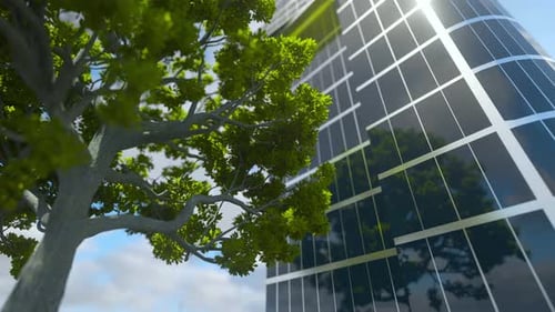 Reflecting The Clouds On The Building With Growing Tree