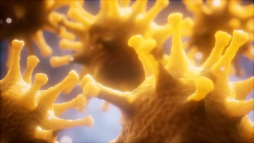 Coronavirus nCoV Respiratory Virus Concept