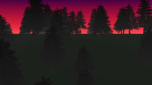 Night Forest and Fog Able To Loop