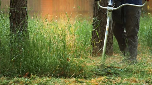 Man Cutting Grass with Trimmer. Crop View of Male in Dark Clothes Holding Handle of String Trimmer