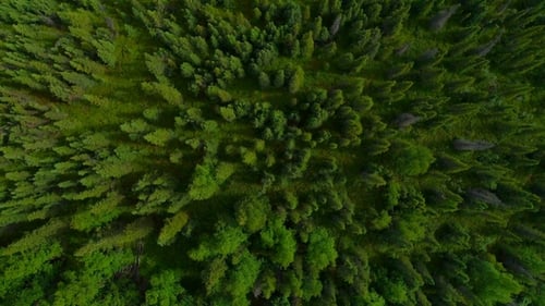 Aerial Flythrough of Alaska