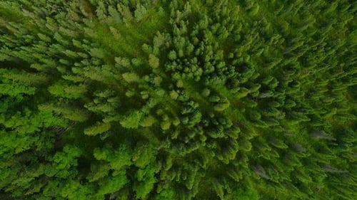 Aerial Flythrough of Beautiful Alaska