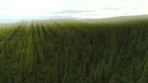 Aerial Flythrough of Beautiful Alaska. July 2017