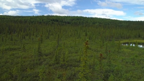 Aerial Flythrough of Alaska Lake
