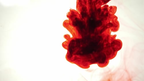 Hypnotic Red Ink Swirling in White Liquid