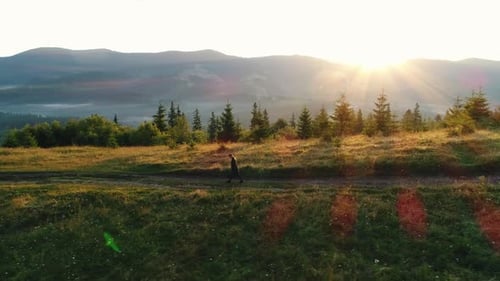 Guy Walks in Nature at Sunrise