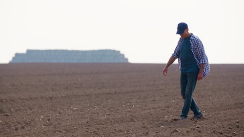 Farmer Examining Soil In Agricultural Field, Agriculture, Farming, Ecology