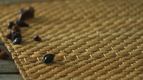 Baked Forest Berries Pie. Freshly Baked Traditional Pie