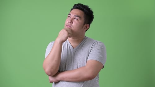 Young Handsome Overweight Asian Man