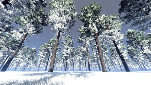 Falling Snow in the Forest