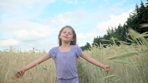 Girl Runs Playfully Through Golden Wheat Field