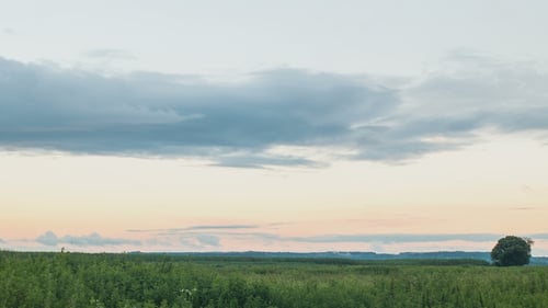 Rain Clouds at Green Field