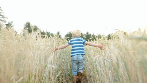 Boy Running Through Field