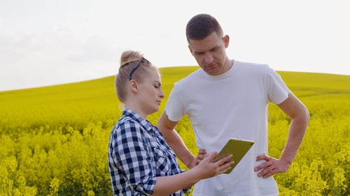 Farmers Discussing while Using Tablet Computer at Farm