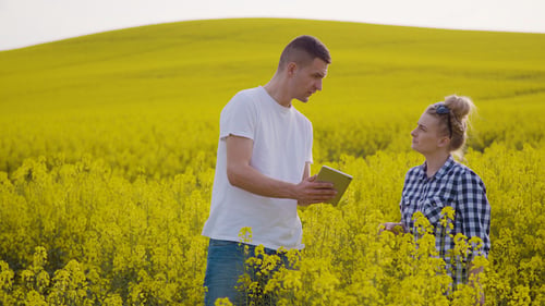 Farmers Discussing While Using Tablet Computer At Farm